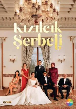 video-section-banner-image