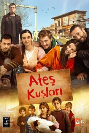 video-section-banner-image
