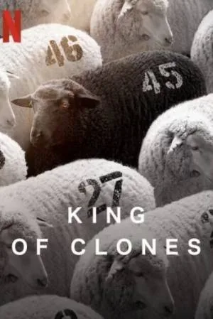 video-section-banner-image