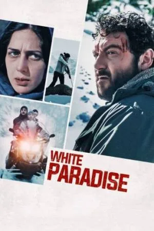 video-section-banner-image
