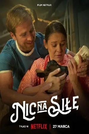 video-section-banner-image