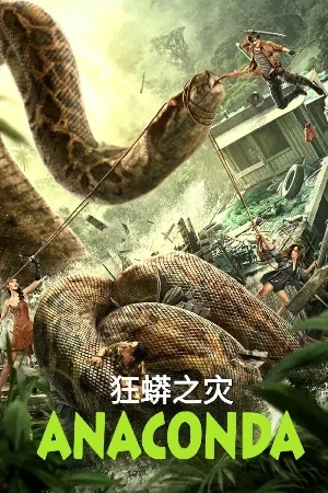 video-section-banner-image