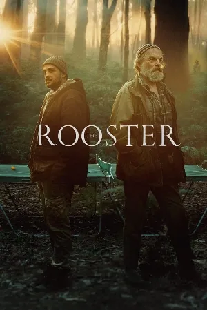 video-section-banner-image