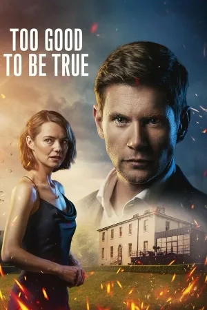 Too Good To Be True (2024)