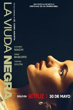 بوستر فيلم A Widow\'s Game 2025 مترجم (2025)
