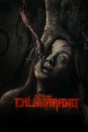 video-section-banner-image