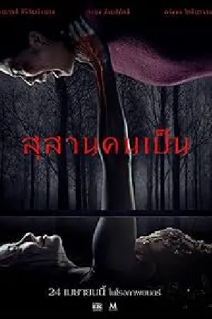 video-section-banner-image