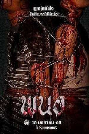 video-section-banner-image