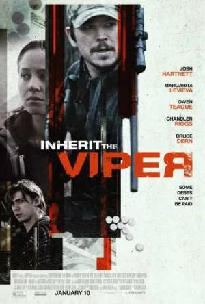 video-section-banner-image