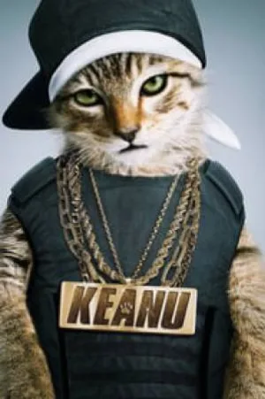 بوستر فيلم Keanu 2016 مترجم (2016)