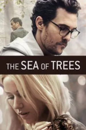 video-section-banner-image