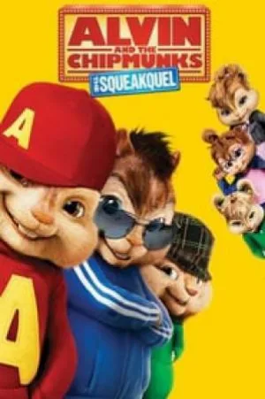 video-section-banner-image