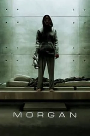 video-section-banner-image