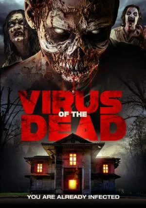 video-section-banner-image