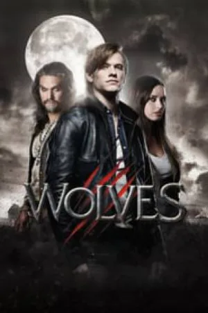 video-section-banner-image