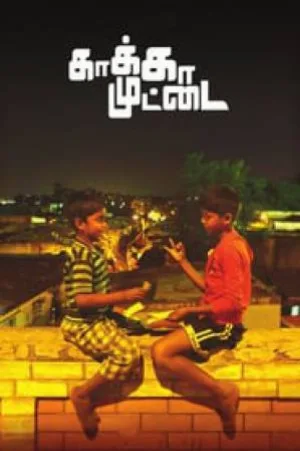 video-section-banner-image