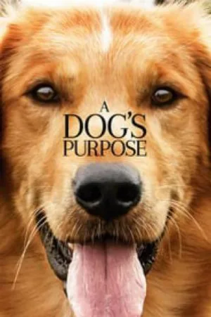 بوستر فيلم A Dog’s Purpose 2017 مترجم (2017)