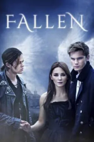 video-section-banner-image