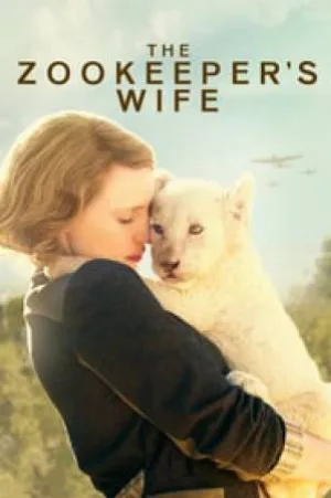 video-section-banner-image