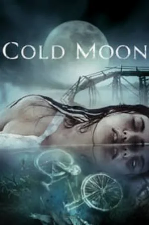 video-section-banner-image