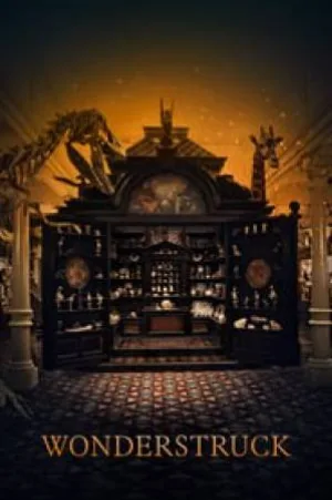 video-section-banner-image