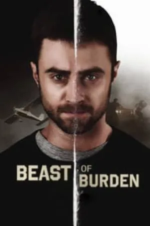video-section-banner-image
