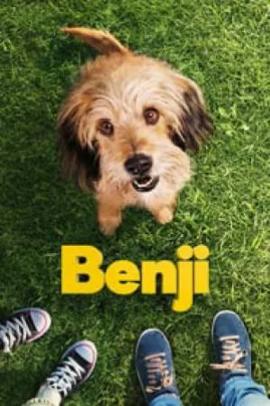 video-section-banner-image