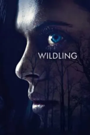 video-section-banner-image