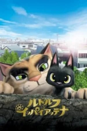 video-section-banner-image