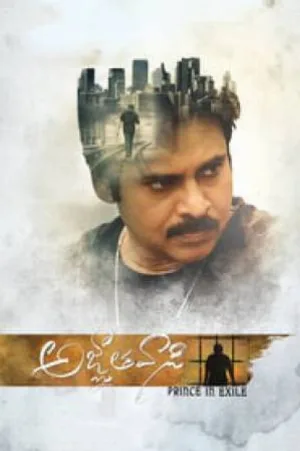 video-section-banner-image