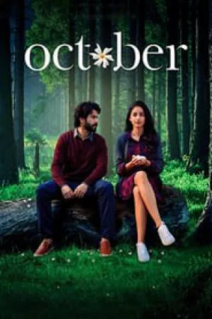 video-section-banner-image