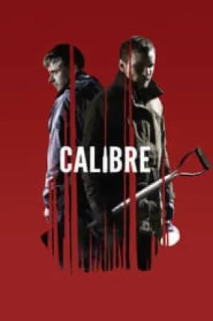 video-section-banner-image