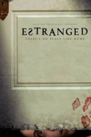 video-section-banner-image