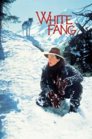 video-section-banner-image