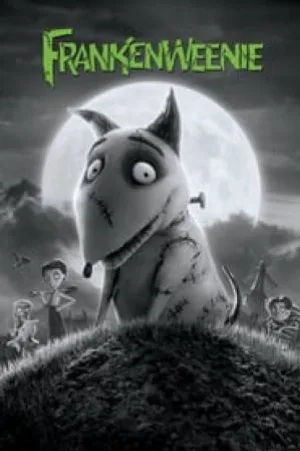 video-section-banner-image