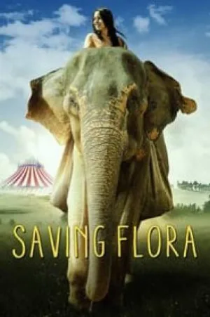 video-section-banner-image