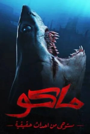 video-section-banner-image