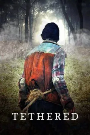 video-section-banner-image
