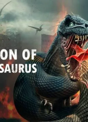 video-section-banner-image