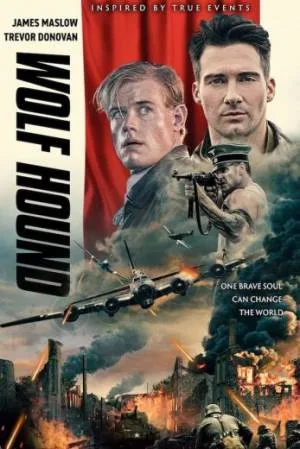 video-section-banner-image