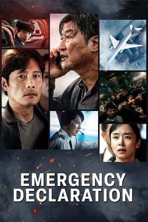 بوستر فيلم Emergency Declaration 2022 مترجم (2022)