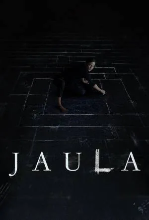 video-section-banner-image