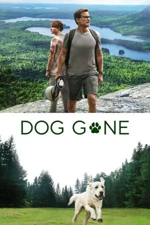 video-section-banner-image